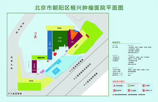 中文操B视频操北京市朝阳区桓兴肿瘤医院平面图